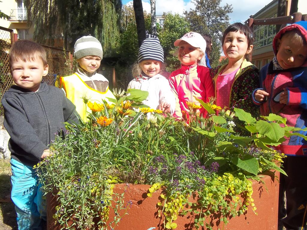 Grupa VII w ogrodzie przedszkolnym