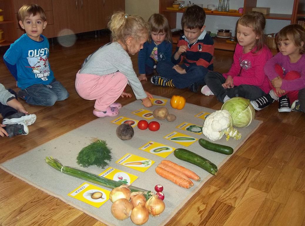 Owoce i warzywa – grupa VII