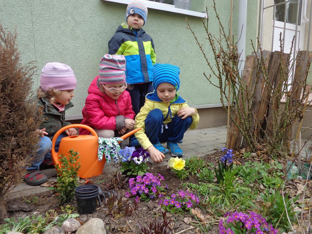 Wiosenne prace w ogrodzie przedszkolnym – grupa V