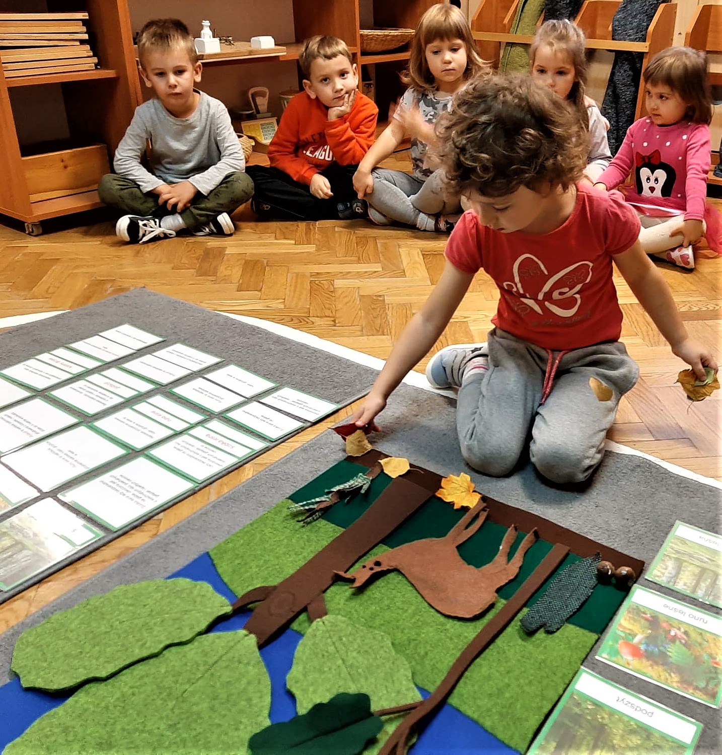 Przedszkolaki poznają las – grupa II