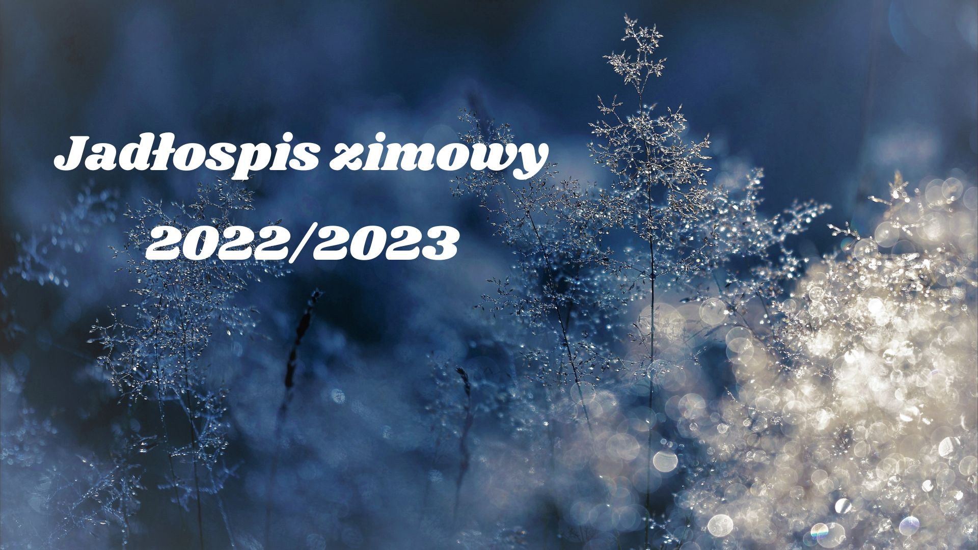 Jadłospis na zimę 2022/2023