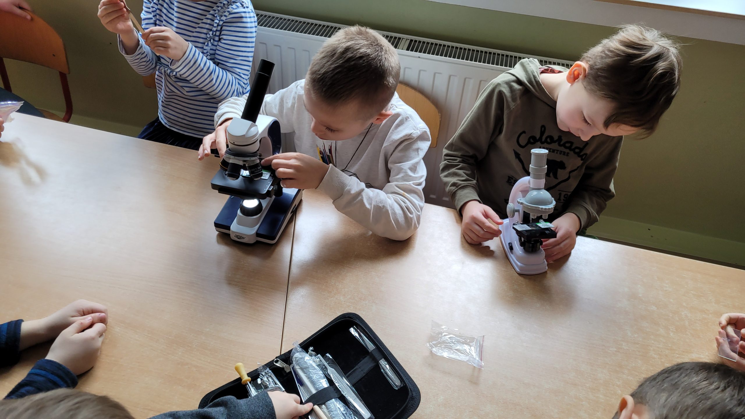 Przygoda z mikroskopem – koło badawcze