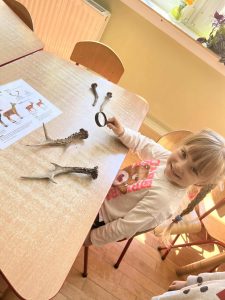 Anielka ogląda poroże sarny