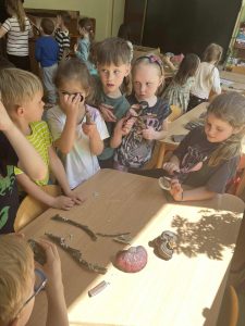 Dzieci oglądają przyrodnicze okazy