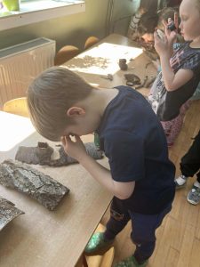 Franek ogląda korę drzew