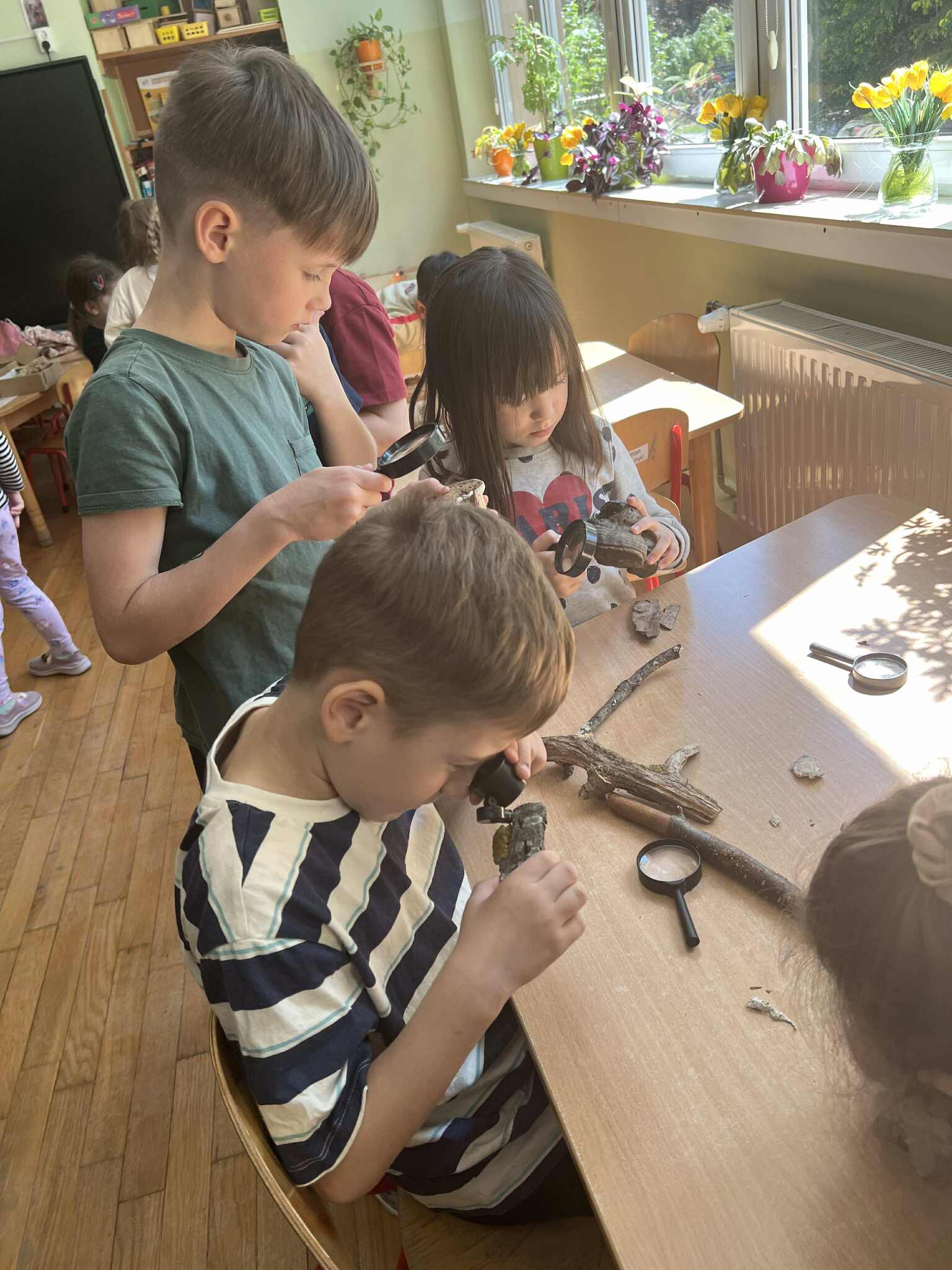 Warsztaty przyrodnicze w grupie VI