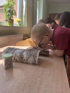 Olek ogląda korę drzew