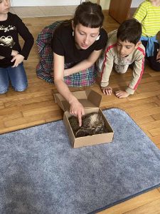 Opuszczone ptasie gniazda