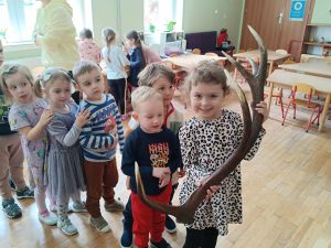 Oglądamy poroże jelenia