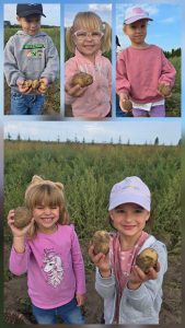 Dzieci pokazują ziemniaki