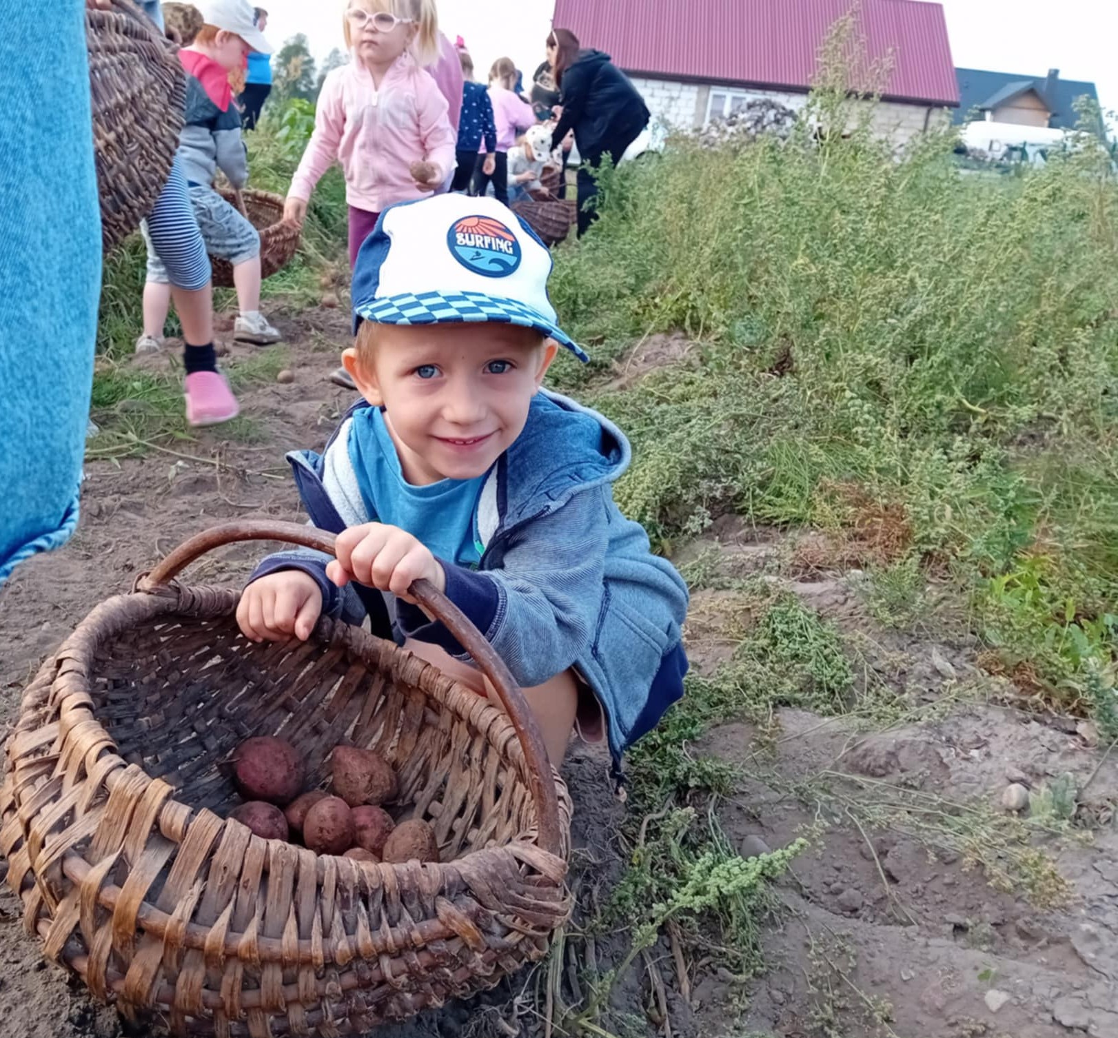 Jesienne wykopki w grupie VIII