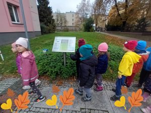 Spacer na ulicy Zamenhofa