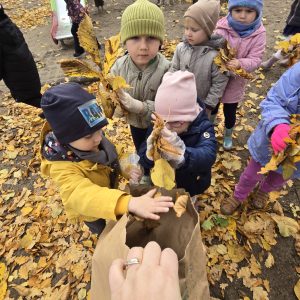 Ratujemy kasztanowce