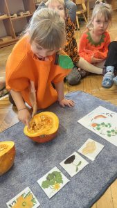 Anielka dotyka miąższu dyni