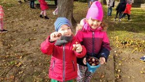 Dzieci zbierają kasztany
