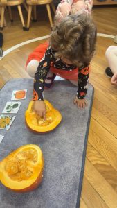 Inka dotyka pestek dyni