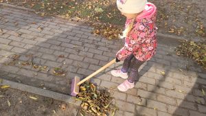 Jesienne porządki w ogrodzie