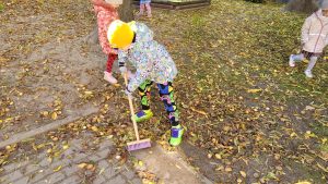 Sebastian zamiata liście