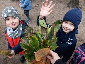 Akcja Ratujemy Kasztanowce