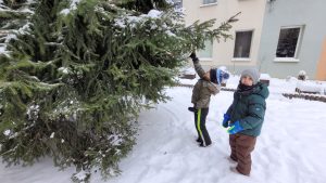 Zimowe zabawy na śniegu