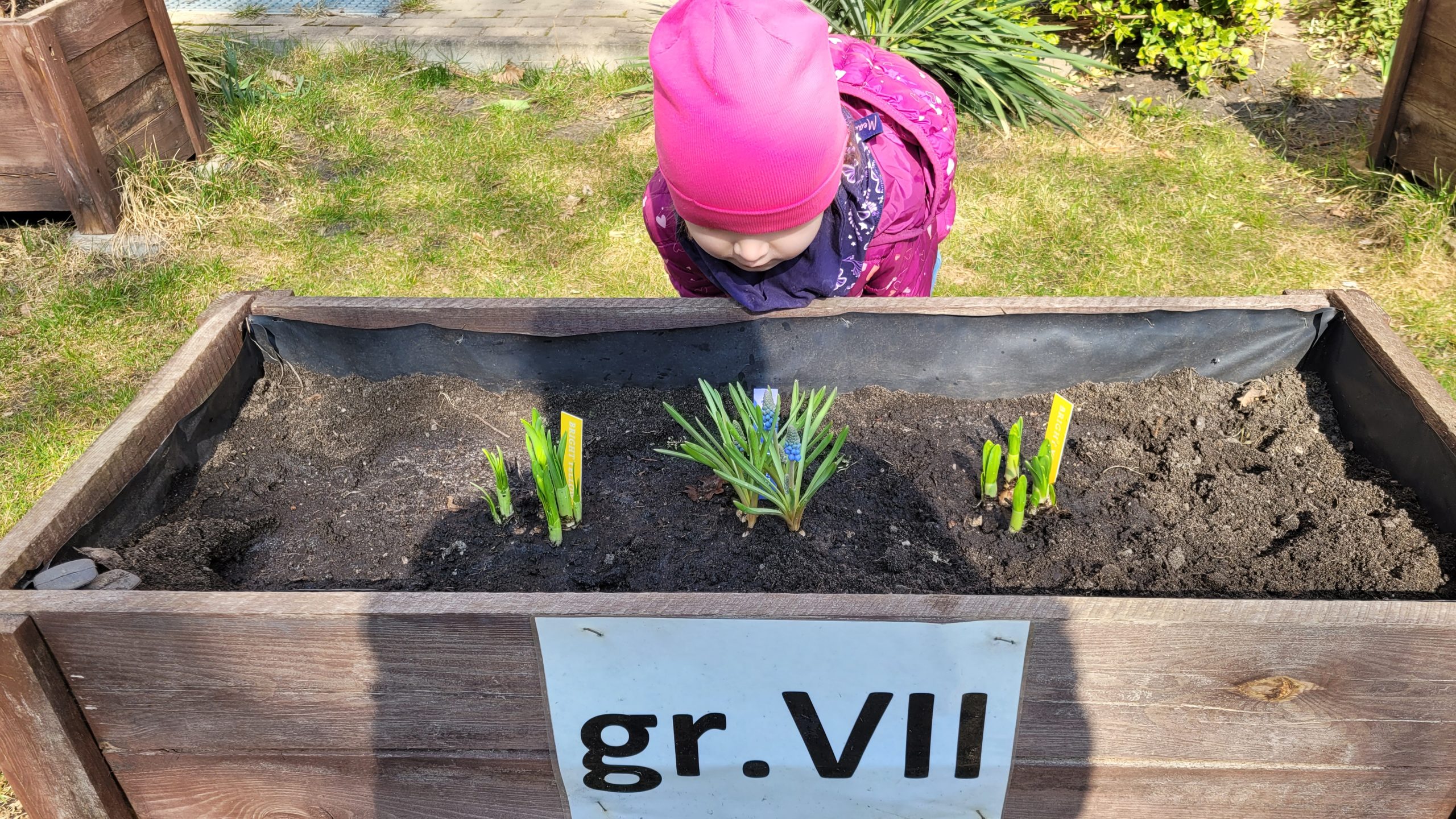 Wiosenne porządki w ogrodzie grupy VII