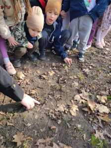Kwiaty przebijają się przez ziemię