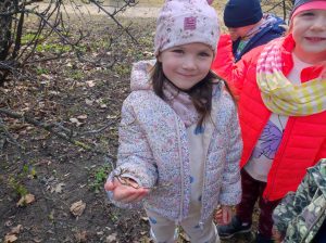 Pierwsze listki na drzewie