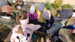 Prace porządkowe w ogrodzie