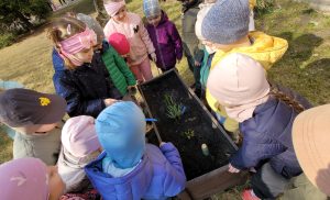 Dzieci podlewają cebulki kwiatów