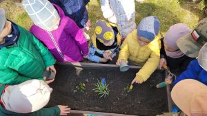 Dzieci obserwują rośliny