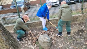 Chłopcy grabią liście