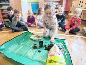 Wiosenne sianie owsa – zajęcia w przedszkolu