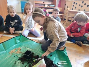 Sianie owsa w naszym przedszkolu