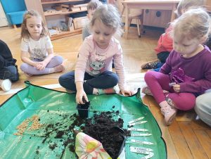 Sianie owsa w naszym przedszkolu