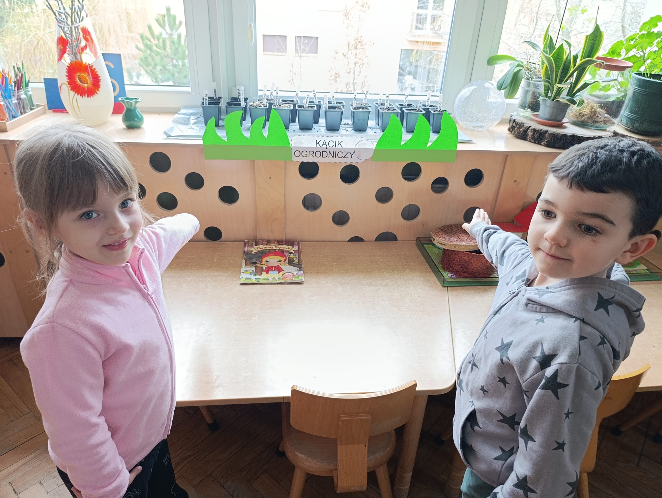 Zakładamy zielony kącik – siejemy owies – grupa III