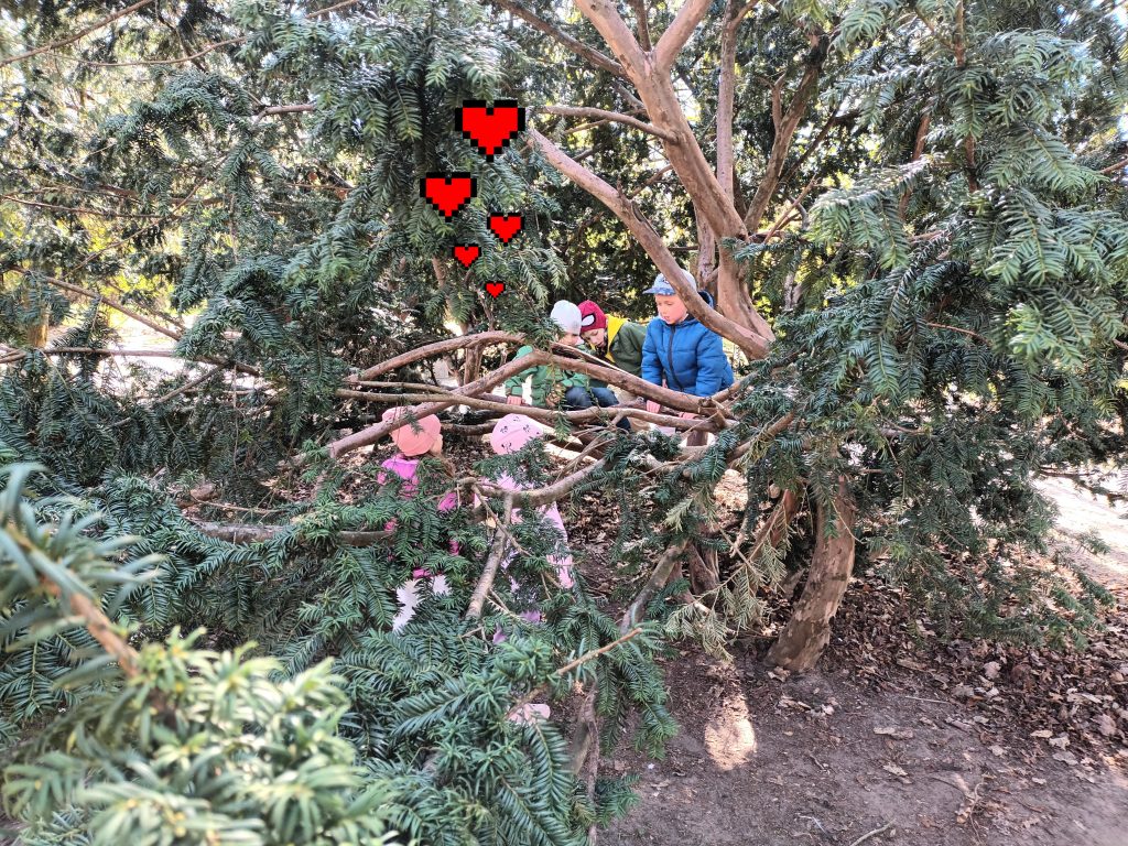 Ścieżka zdrowia w parku - grupa V