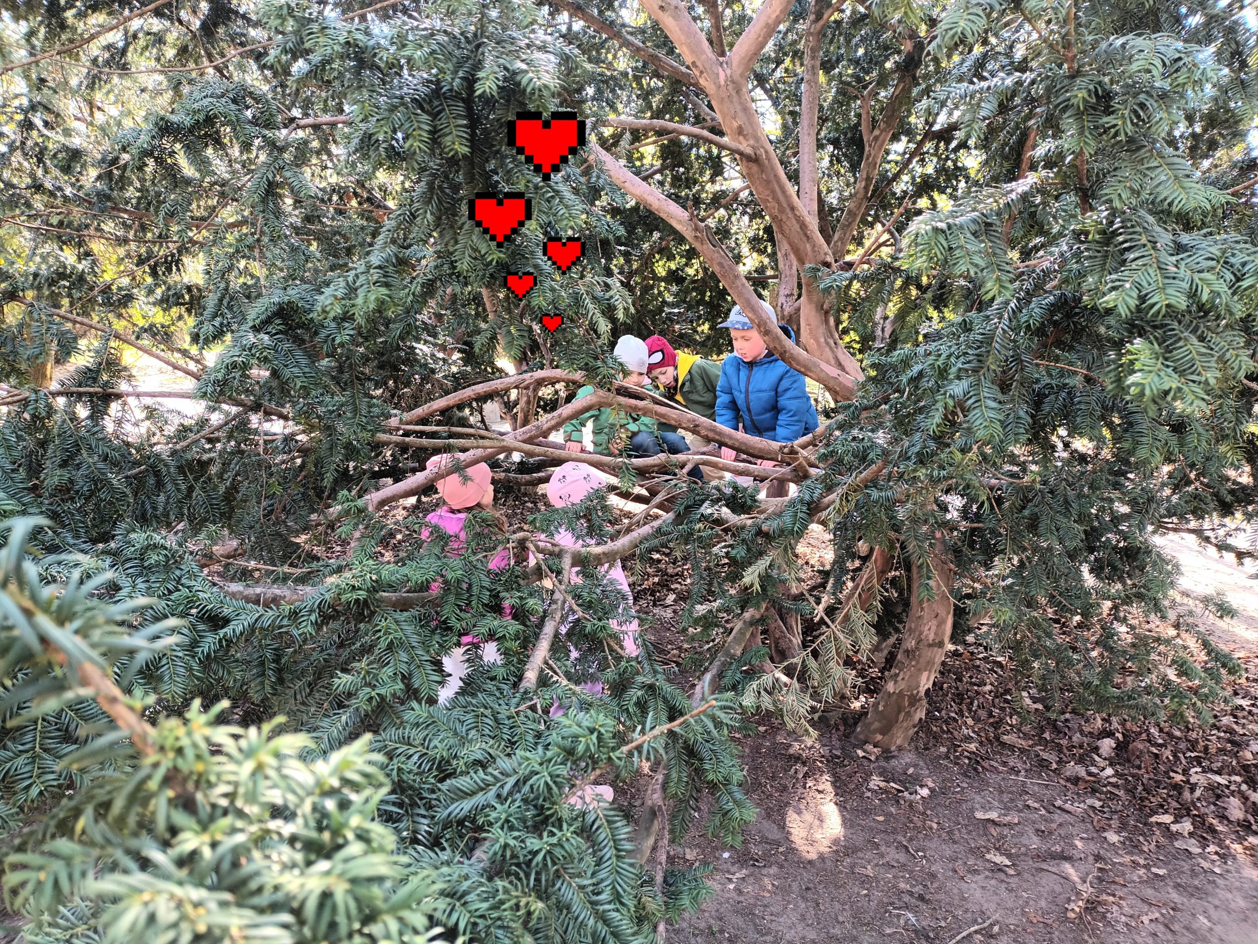 Ścieżka zdrowia w parku – grupa V