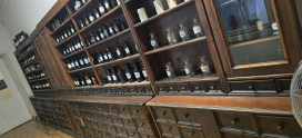 Wycieczka do Muzeum Farmacji