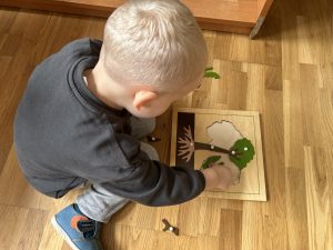 puzzle budowa drzewa układane przez nowego przedszkolaka