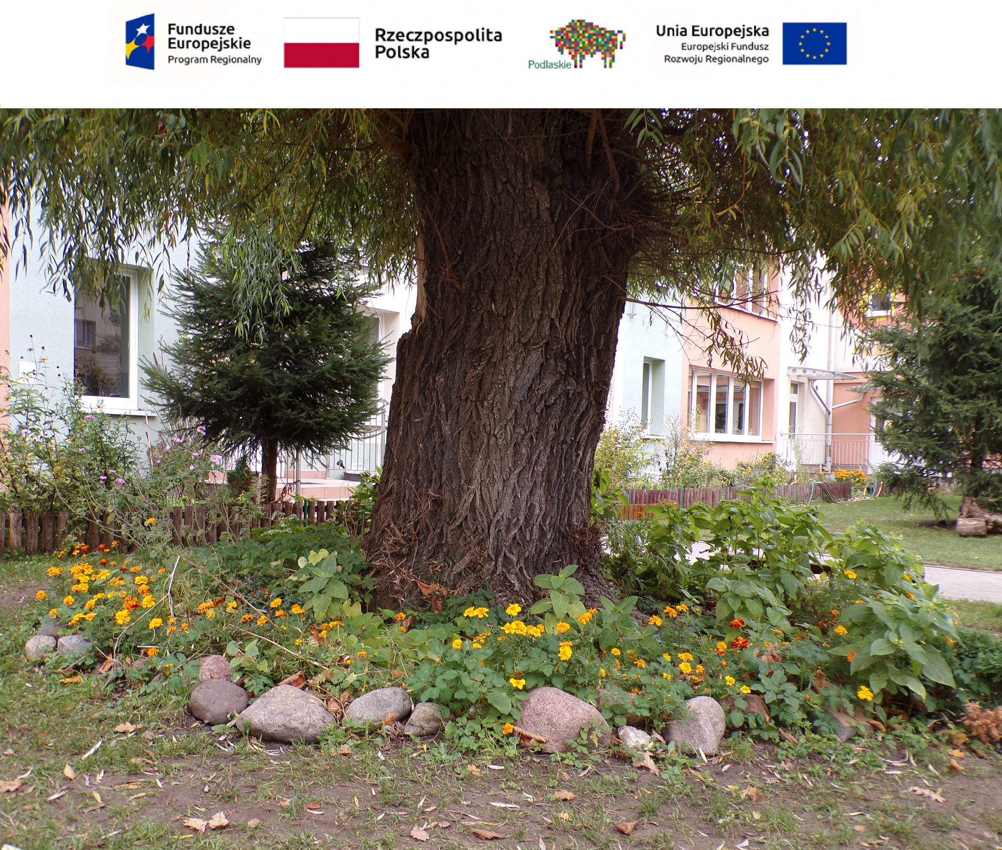 Koło fotograficzne „FotoPstryk” – jesienny ogród w przedszkolu